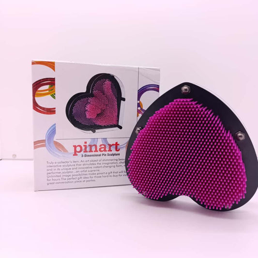 Pen-lux - Pinart large - B5566