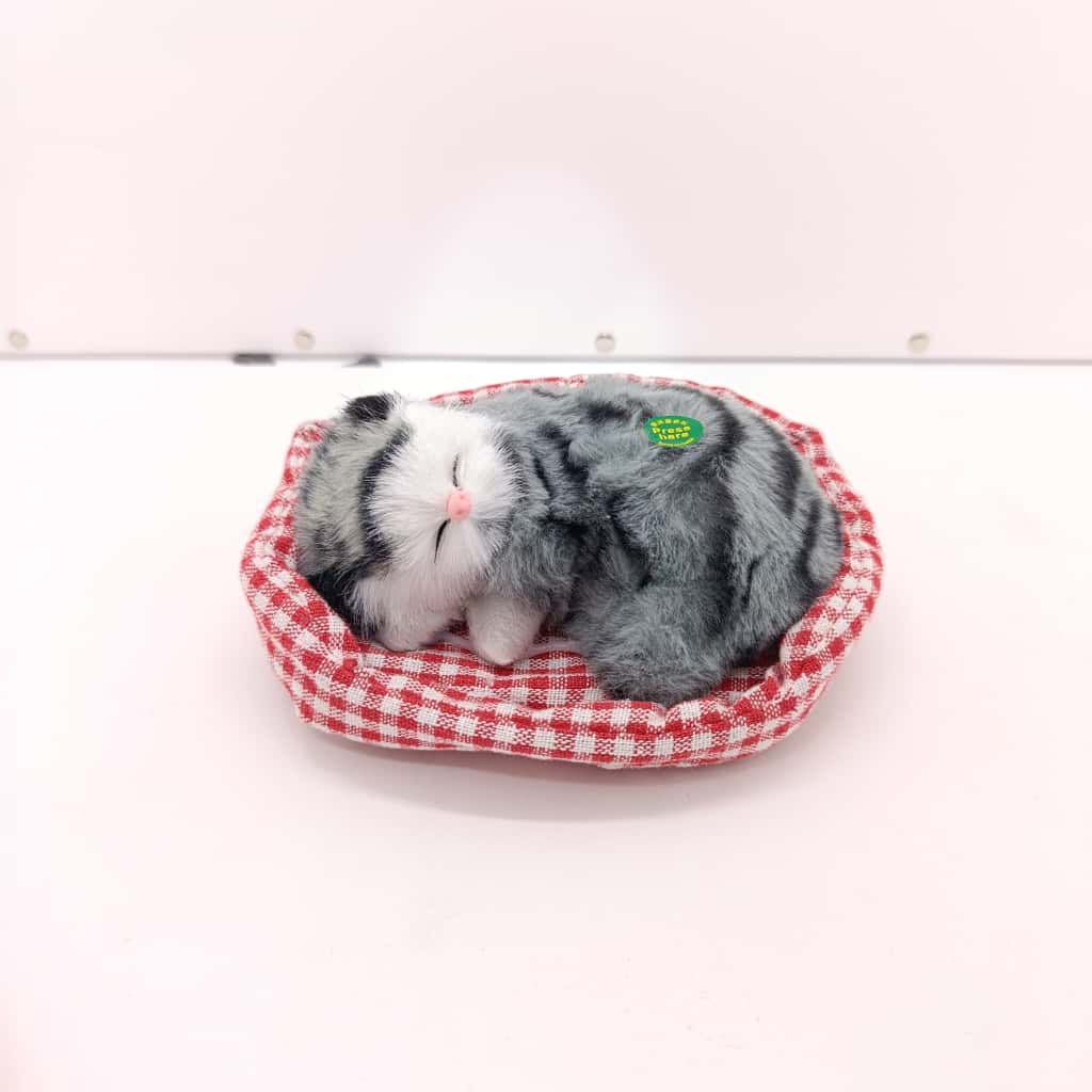 Pen-lux - Cat in a basket - B7069-6