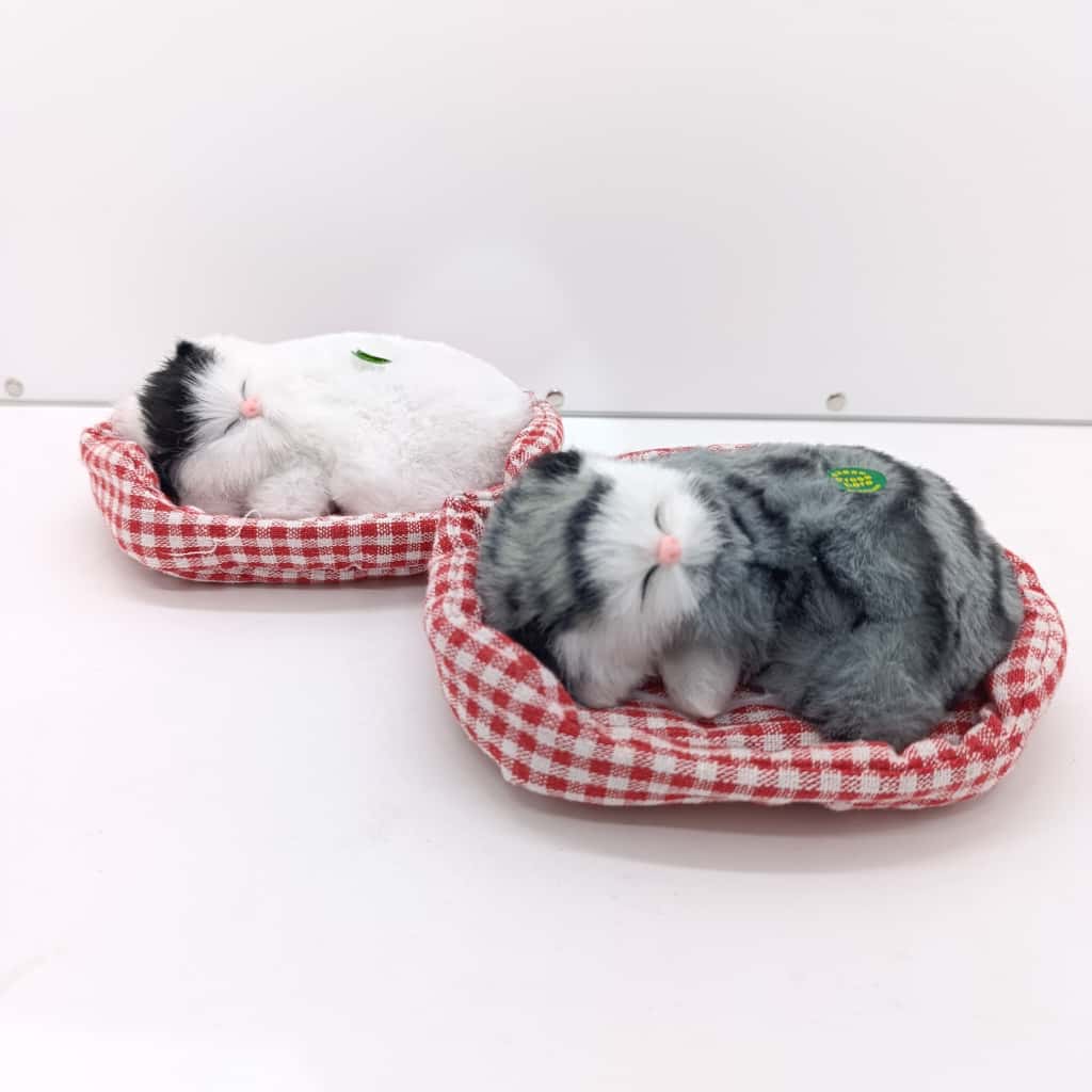 Pen-lux - Cat in a basket - B7069-6